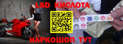 бошки Можга