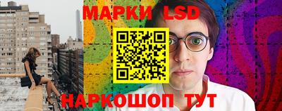 гидропоника Можайск