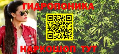 бошки Можга