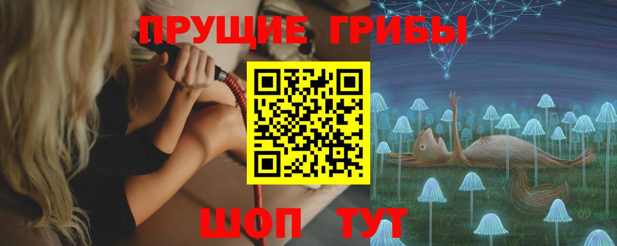 Галлюциногенные грибы прущие грибы  Вход с VPN  Торжок  продажа наркотиков  Галлюциногенные грибы Psilocybe 