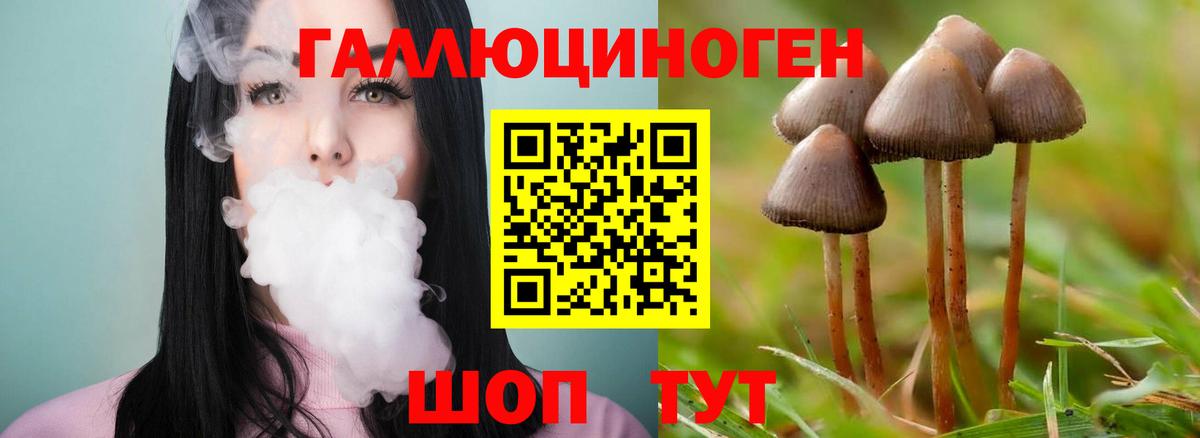 Галлюциногенные грибы MAGIC MUSHROOMS Торжок
