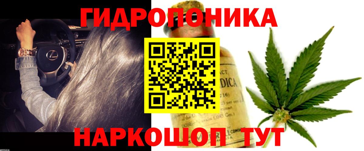 Бошки Шишки THC 21% Торжок